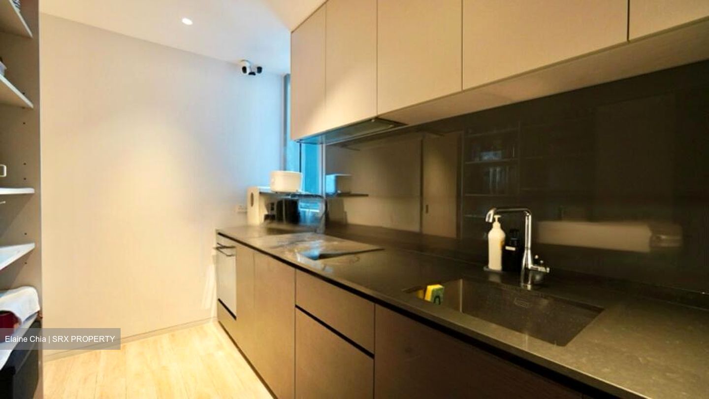 Amber Park (D15), Condominium #487573561